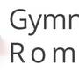 gymnasium_am_romaeusring_logo.jpg